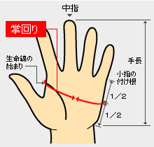 サイズの測り方