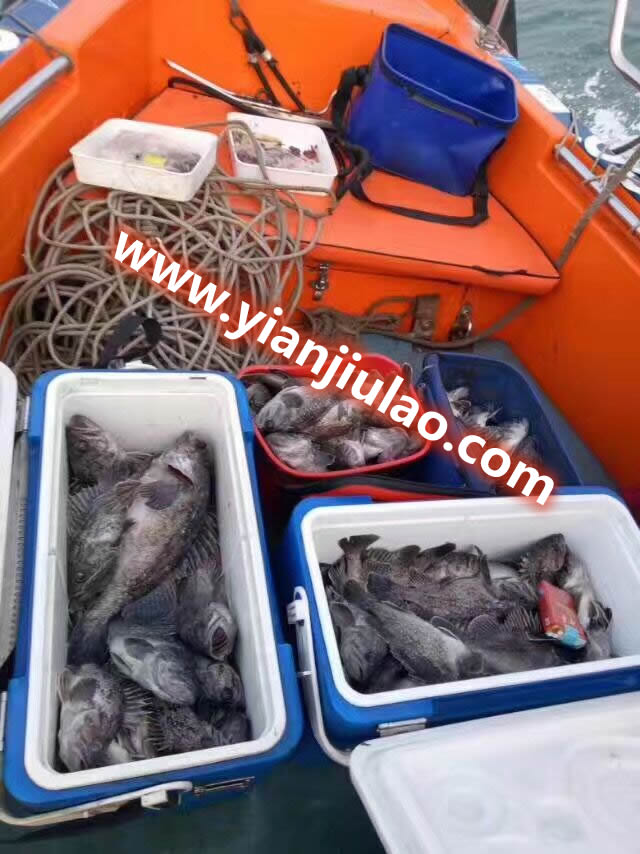 五一假期客户前方发来好消息-玻璃钢游艇海钓大获丰收